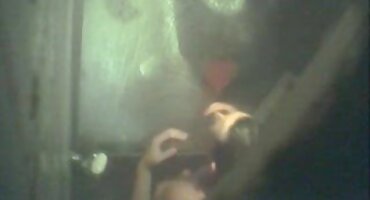 Ba lan xec xxx lớn con gà trống kính Cann Al