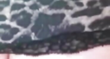 Cô gái phim xxx 13 lừa dối ông già với chàng trai trẻ.