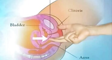 Nghiệp là xxx phá trinh sul