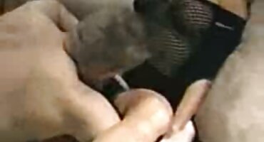 Hai Shameless chà lồn của họ. phim xxx nguoi lon