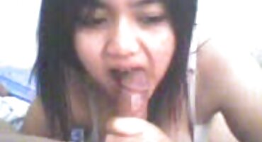 Chicksa cho ass bị phá hủy. xxx co giao thao