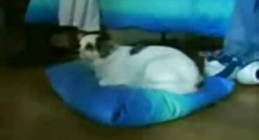 Chết Tiệt Karl Kush với chồng. phim xxx mới