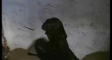 Séc phim heo xxx shabolda fucked Bởi Châu á.